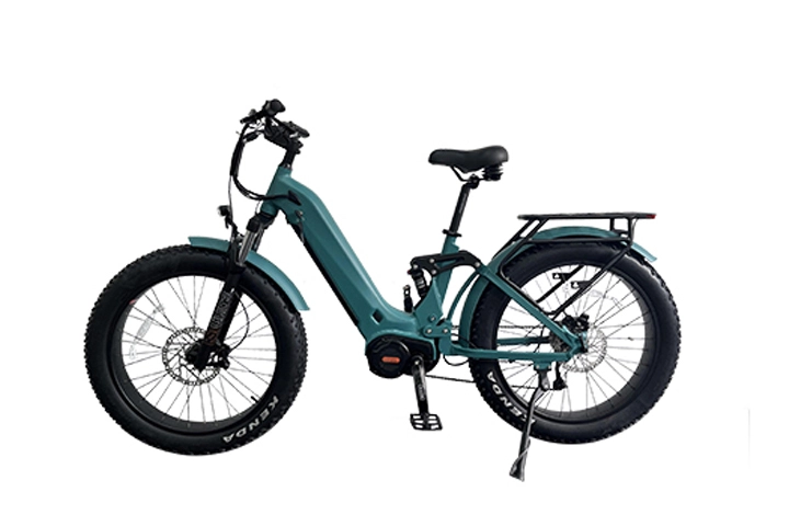 Electric mountain bike