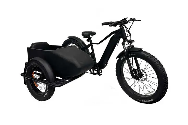 Electric Bike With Sidecar 