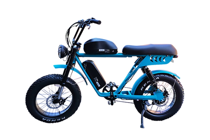Fat tire electric bike