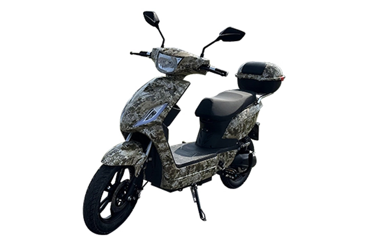EEC Electric Scooter