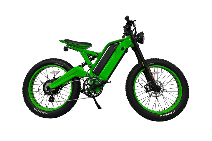 Electric Dirt Bike of Leader