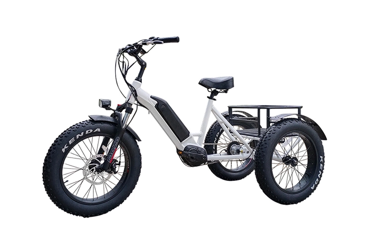 3 Wheel Electric Cargo Bike-3.webp