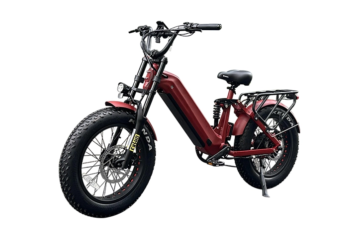 High Speed Electric Bike-3.webp