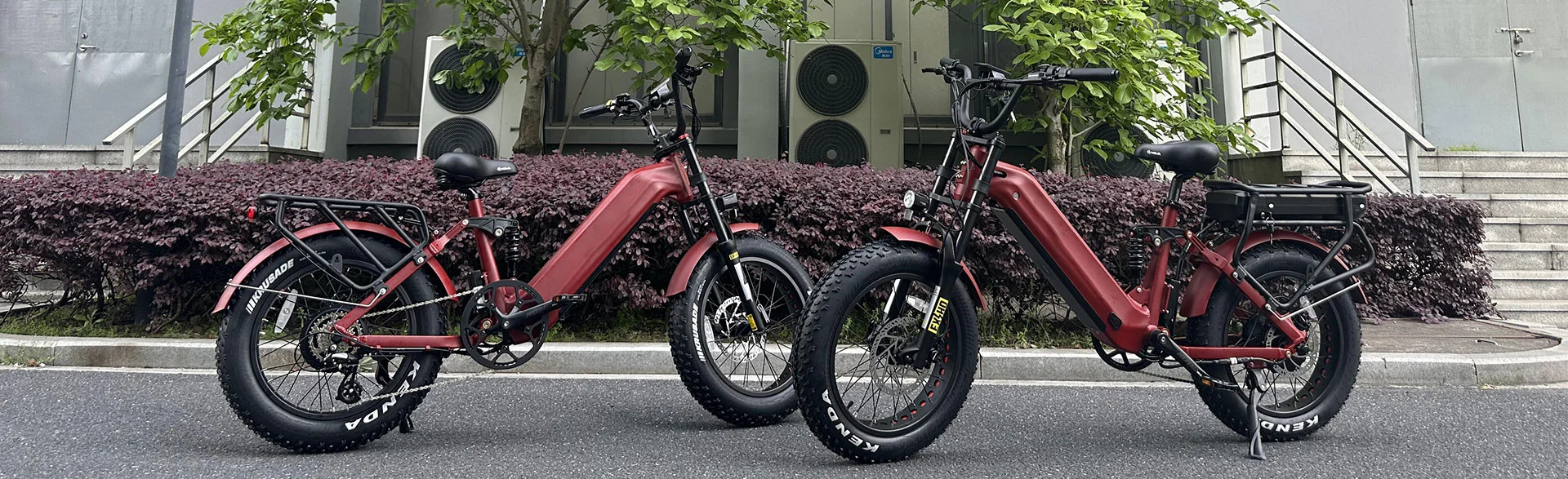 High Speed Electric Bike