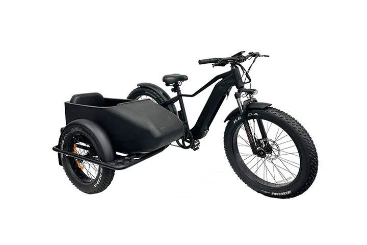 Electric Bike Sidecar