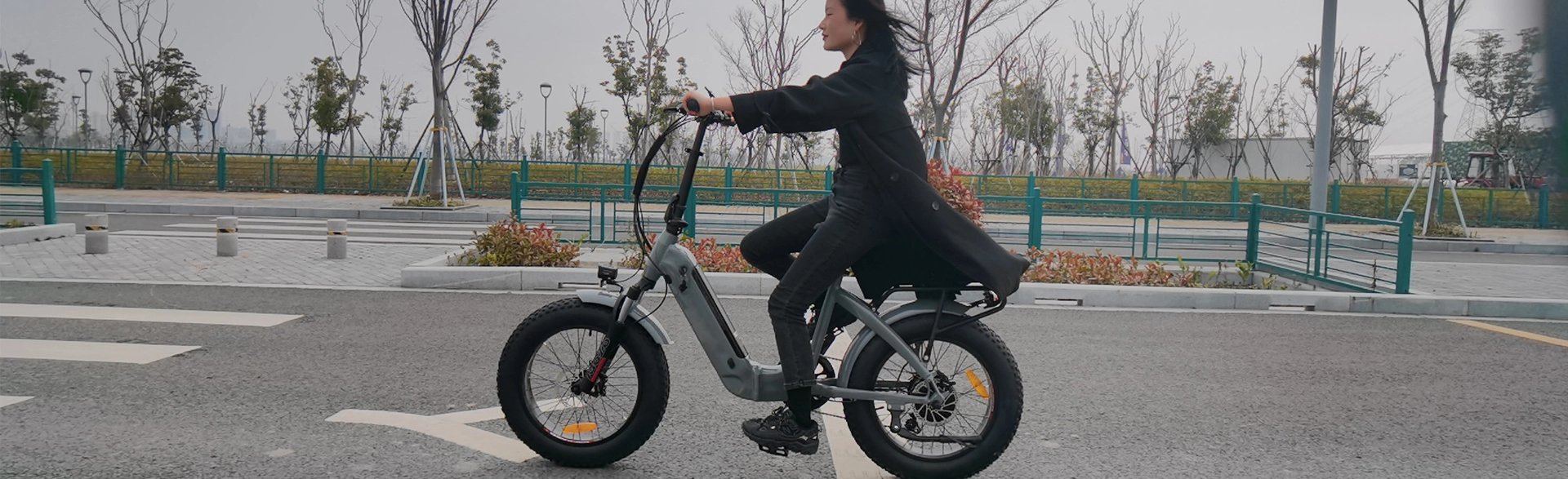 Folding Fat Tire Electric Bike