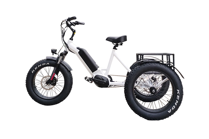 3 Wheel Electric Cargo Bike
