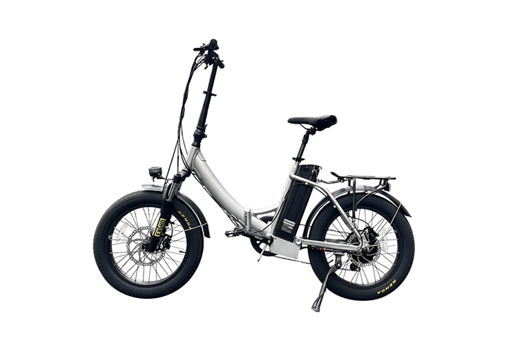 Electric Folding Bike