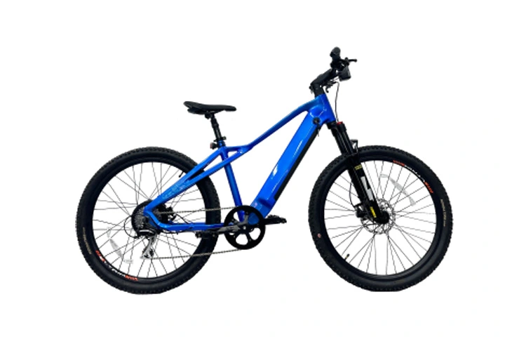 500w Hidden Battery Electric Mountain Bike-1.webp