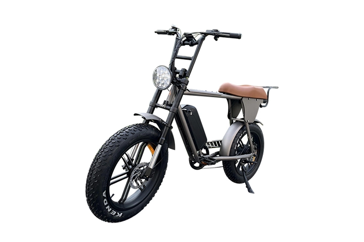 Moped Style Electric Bike-2.webp
