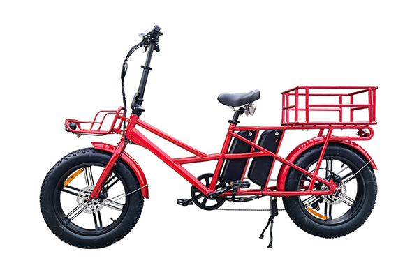 Electric Cargo bike