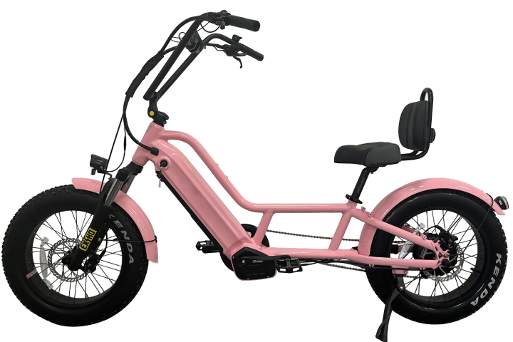 Electric Recumbent Bike
