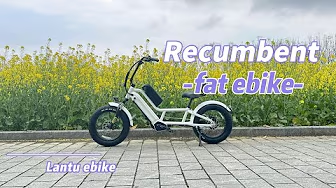 2024 best 20 inch dual battery fat tire electric recumbent bike