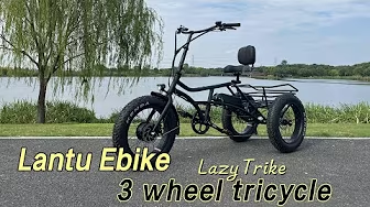3 Wheel Electric Tricycle e Bike