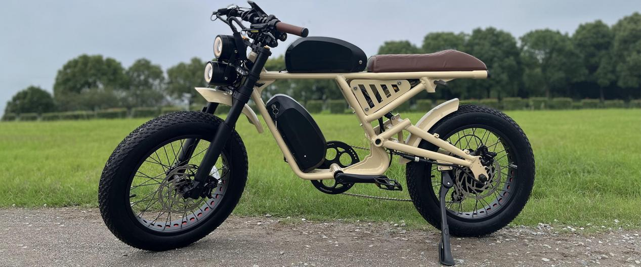 moped style e bike2.png