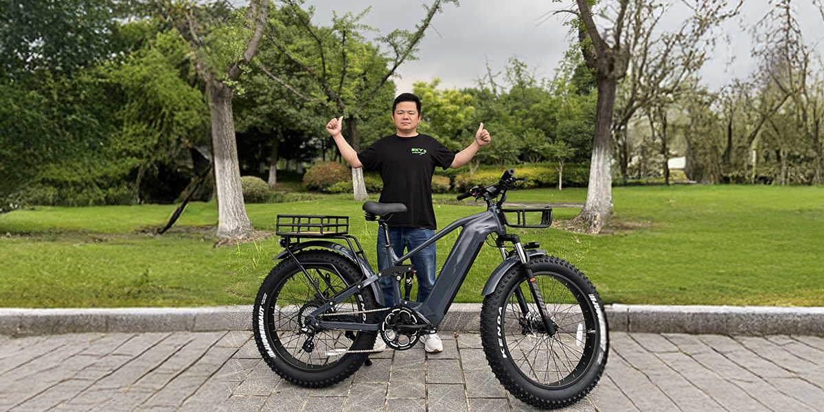 hidden battery electric bike2.jpg