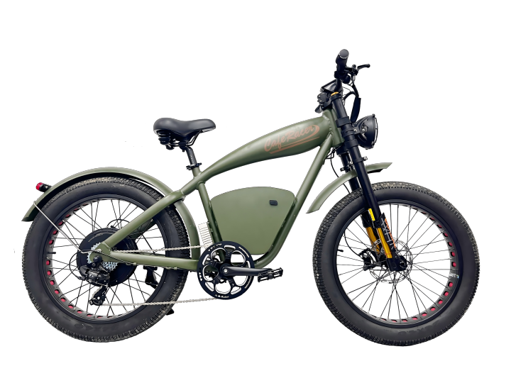 2000w vintage fat tire electric bike (2).png