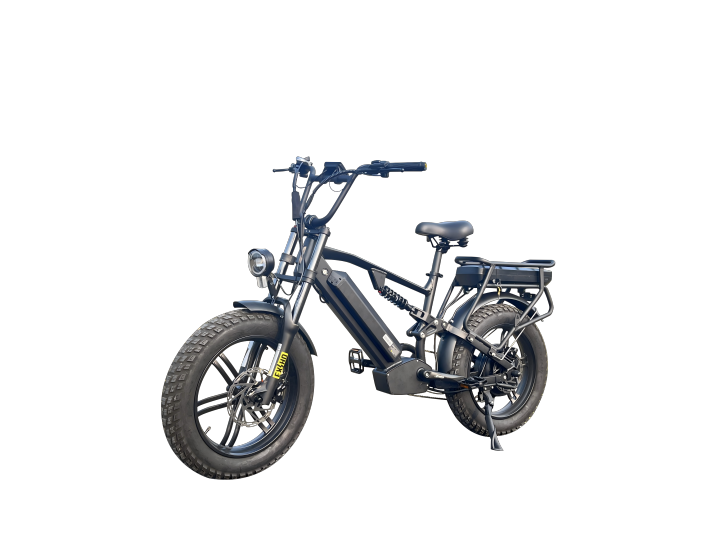 Dual Battery 2000W Electric Moped Bike for Adults