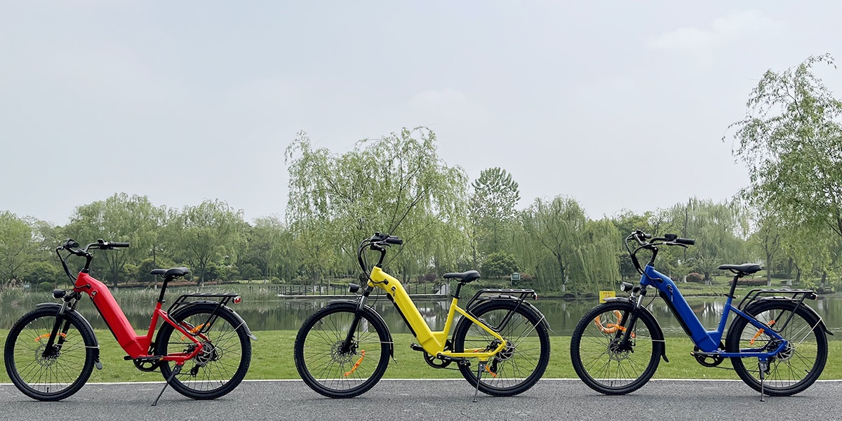 electric power-assisted bicycle-1.png