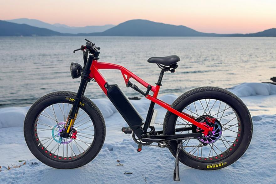 Off-Road E-Bike-2.png