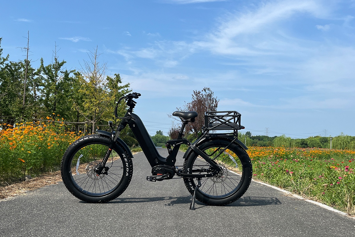 electric bicycles.png