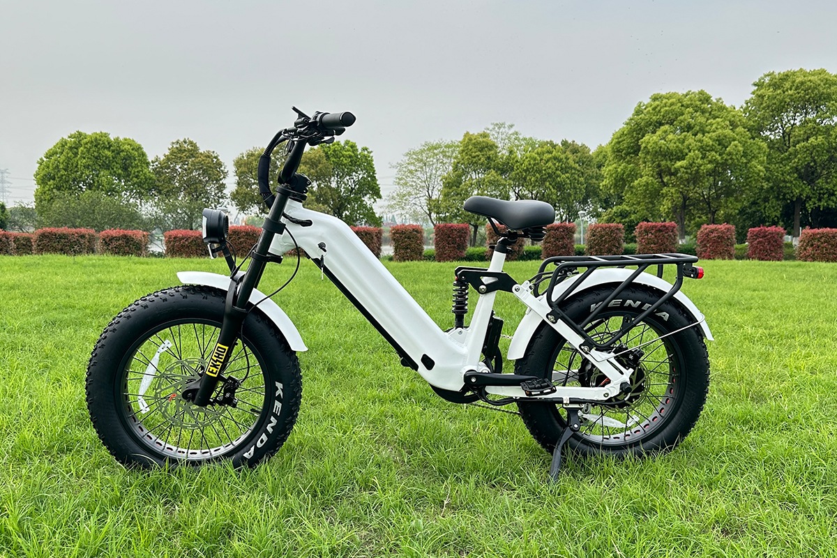 Electric bikes are all the rage-1.png