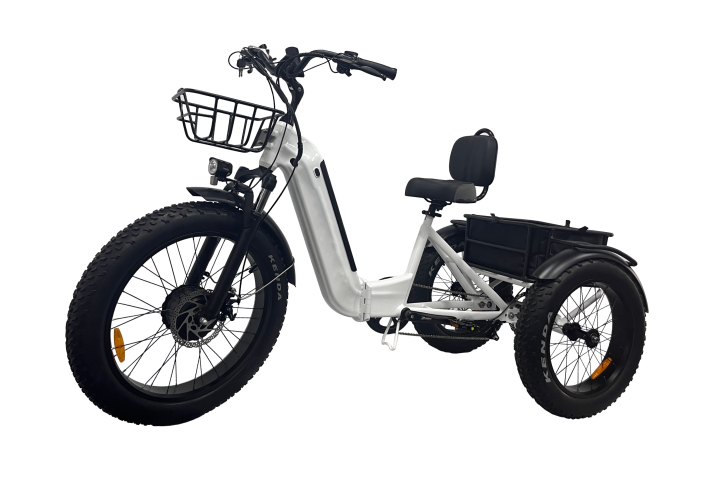  Three wheel fat tire Cargo electric bicycle  (2).png