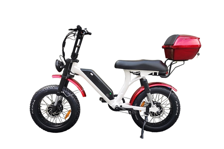 dual motor fat tire electric bike