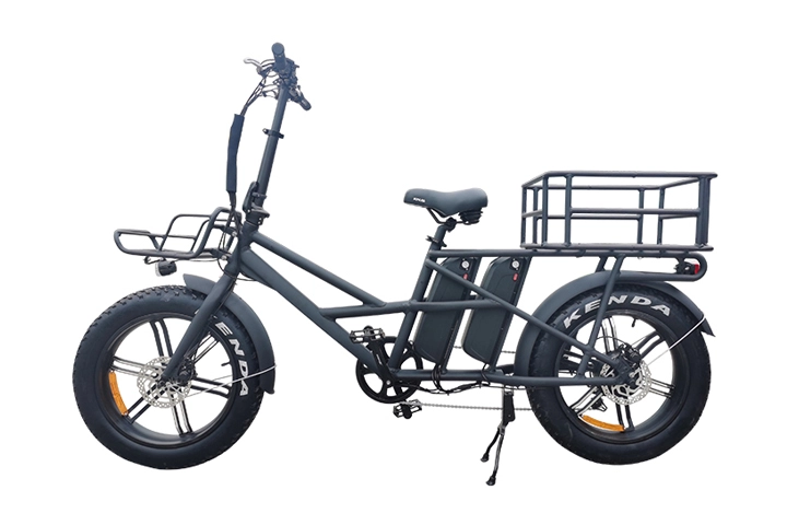 dual battery ebike