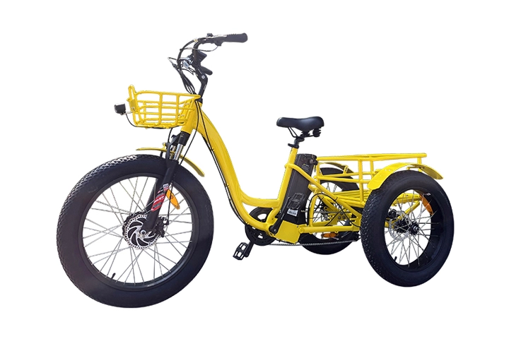 e bike trikes