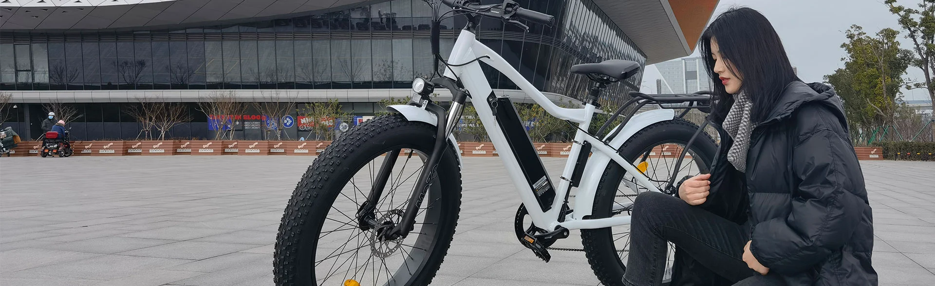 Lantu Ebike