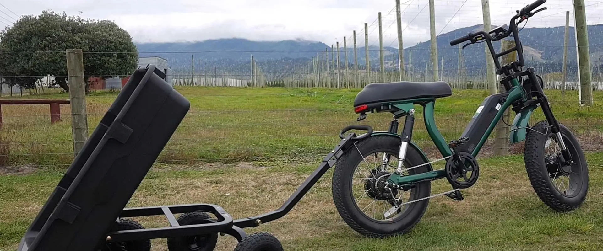 Bici elettrica a doppio motore con pneumatici grassi