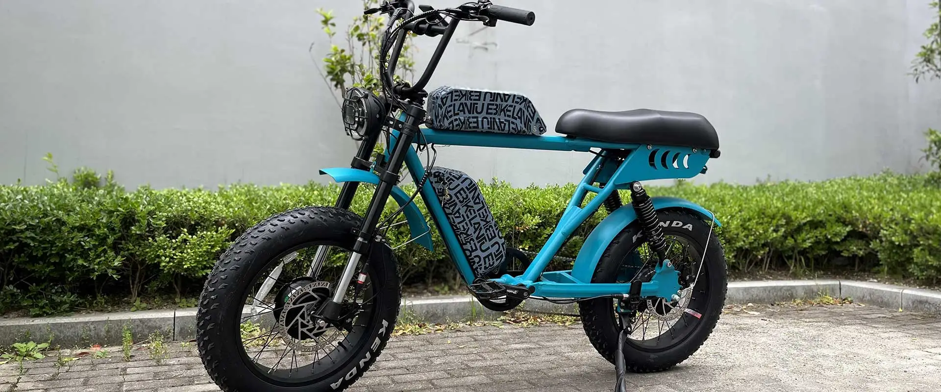 Bici elettrica a doppia batteria a doppio motore 52V