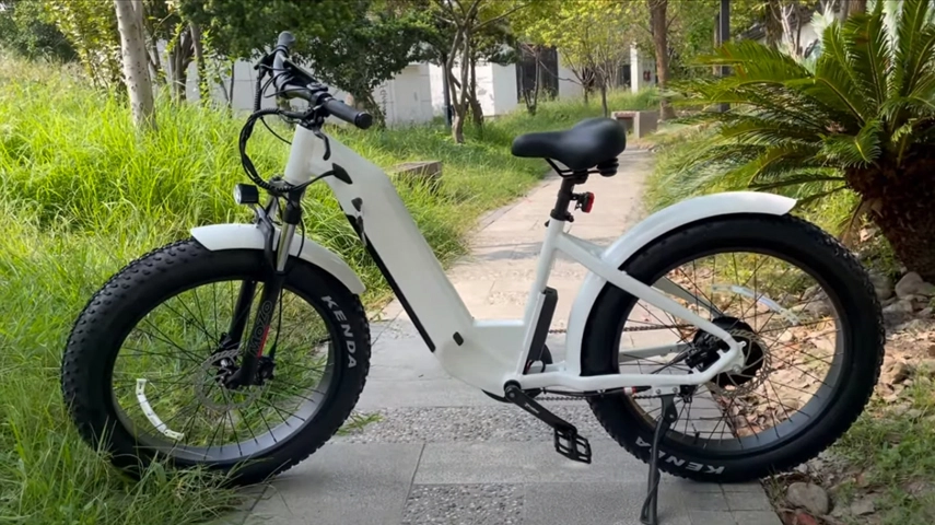 China Best Step Through Electric Fat Bike per donna
