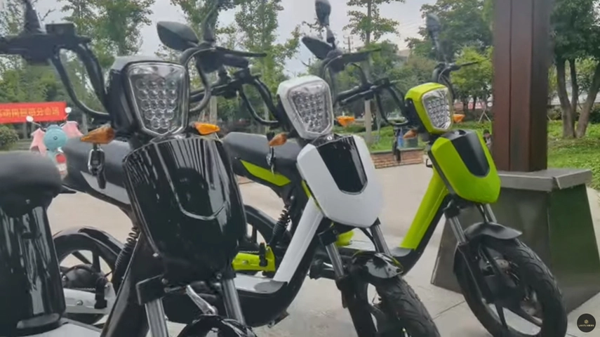 Vendita calda Scooter elettrico per bici da 18 pollici con pedalata assistita