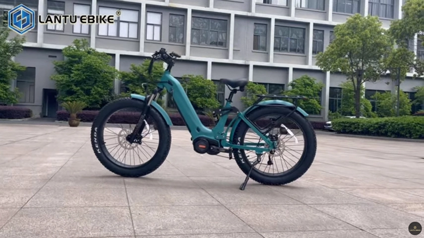 Bici elettrica OEM cinese con motore centrale da 1000w