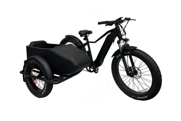 Bici elettrica Sidecar