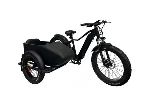 Bici elettrica con Sidecar
