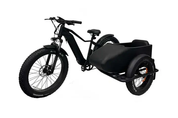 Bici elettrica con Sidecar