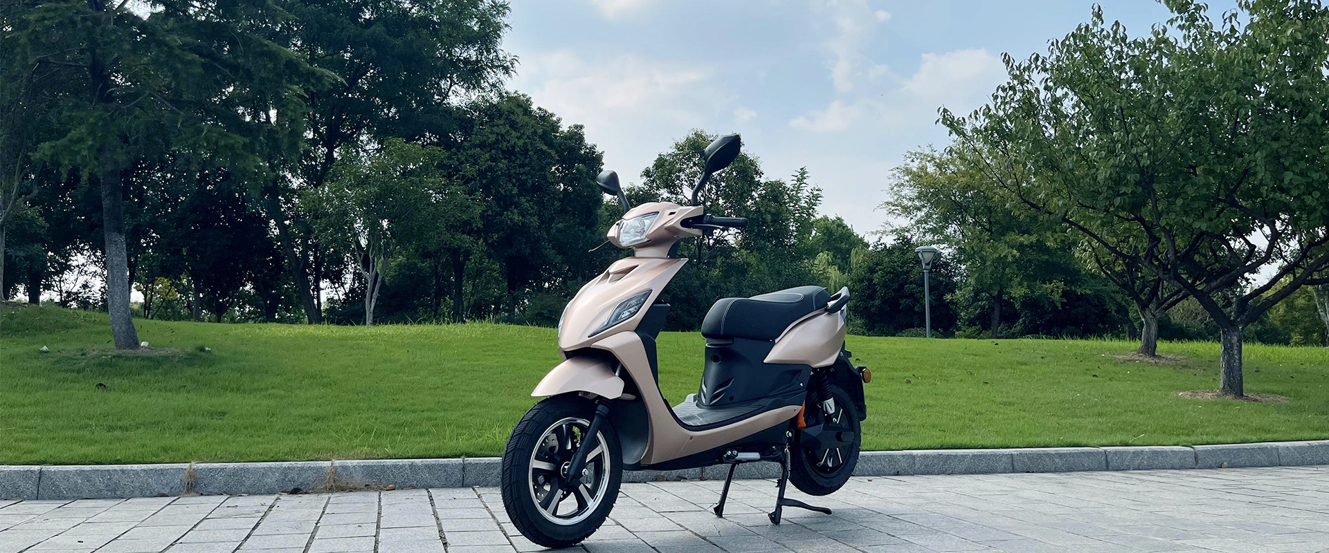 Motocicletta elettrica 3000W per adulti