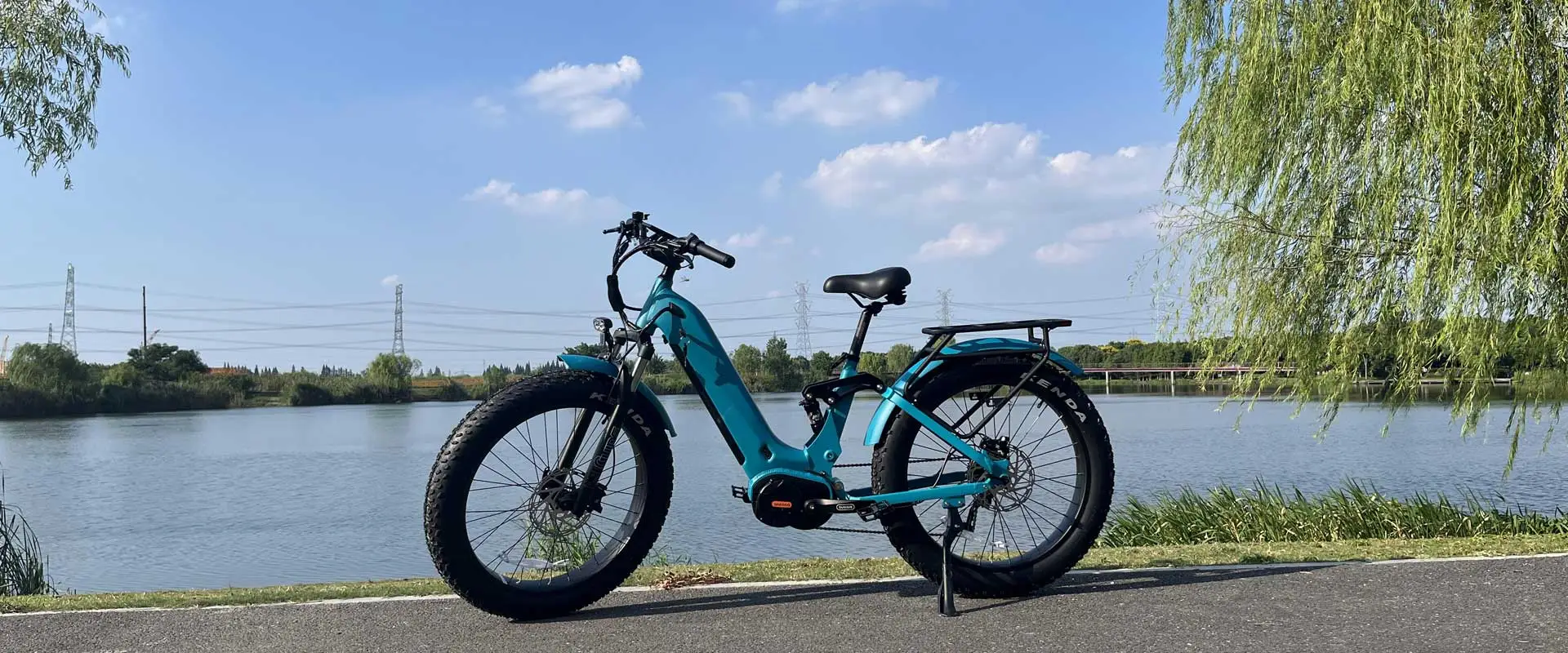 Ebike per pneumatici grassi Mid Drive