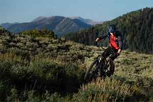 Gamma e velocità di Mountain bike elettriche: liberare il fascino della natura