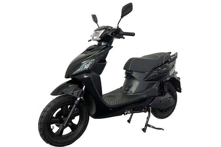 Motocicletta elettrica 3000W per adulti